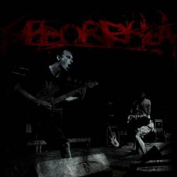 Seborrhea : Relative Intermedium